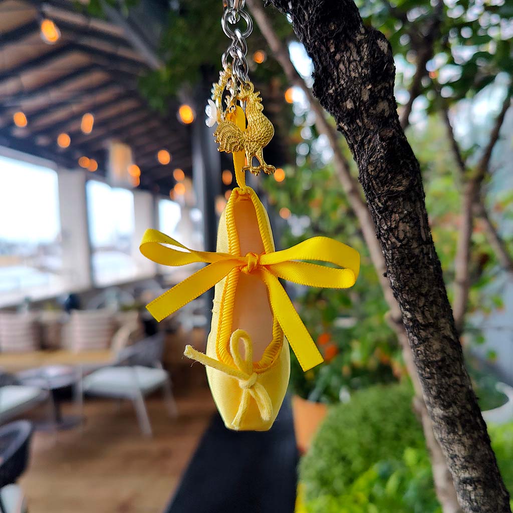 La Fille mal gardee yellow ballet shoe keyring hanging from a branch on the terrace