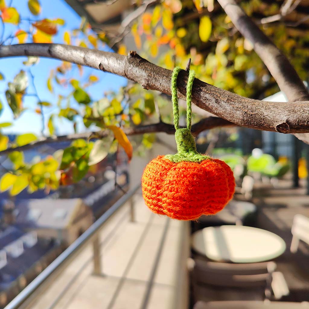 Crochet Pumpkin Decoration