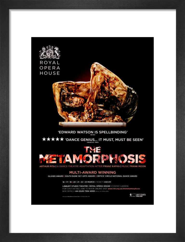 The Metamorphosis Print (2013)