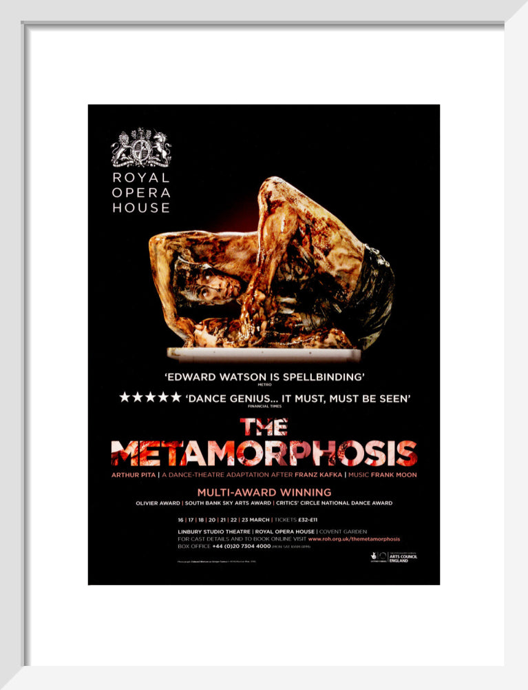 The Metamorphosis Print (2013)