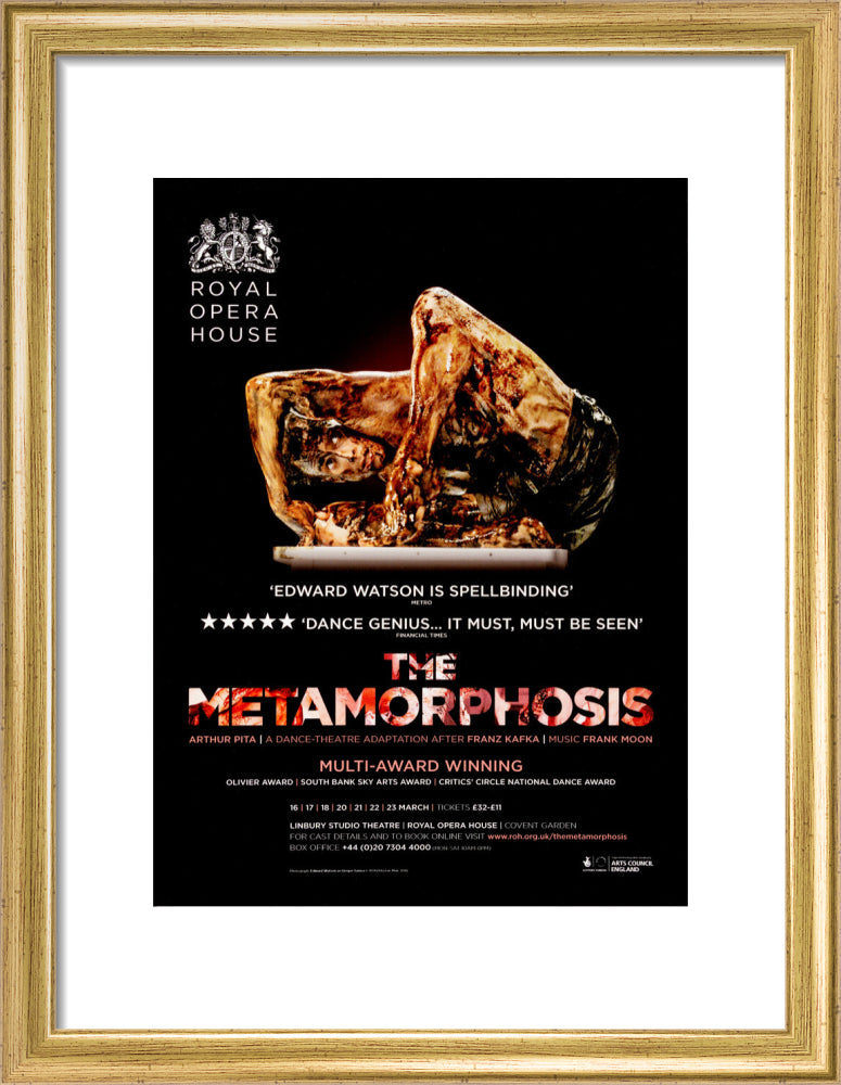 The Metamorphosis Print (2013)