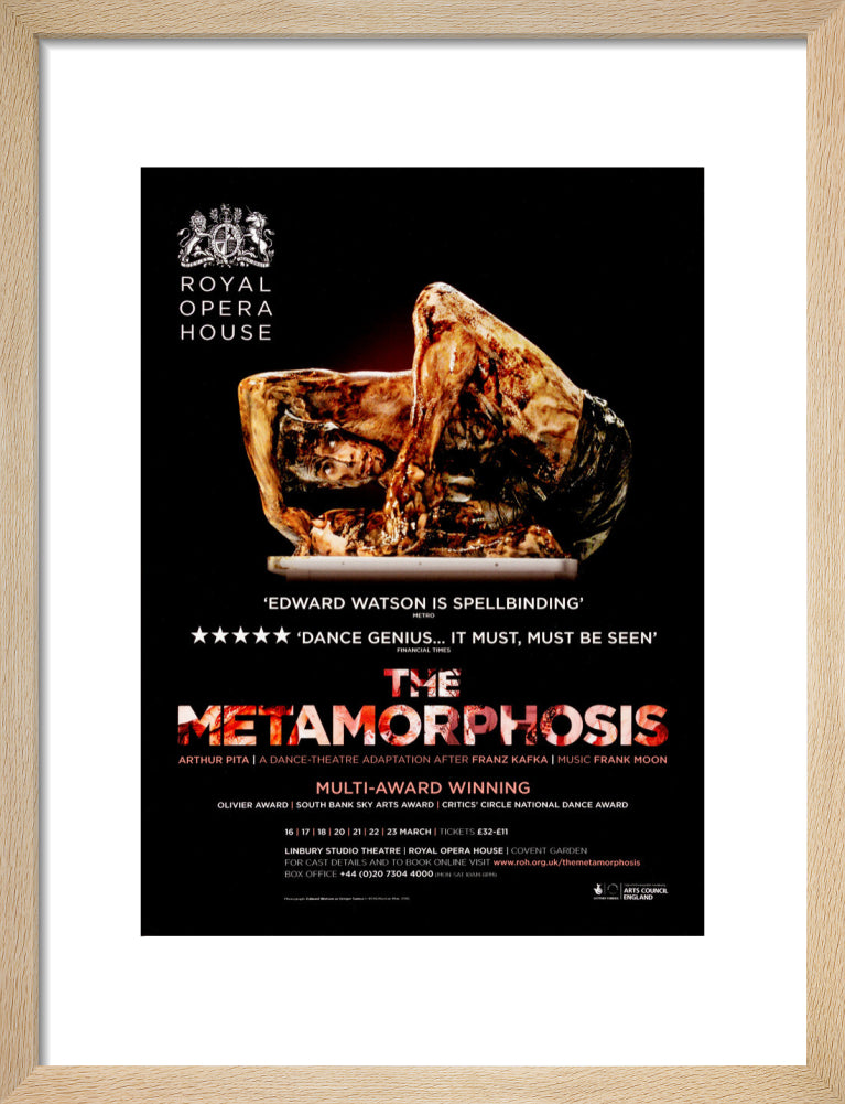 The Metamorphosis Print (2013)