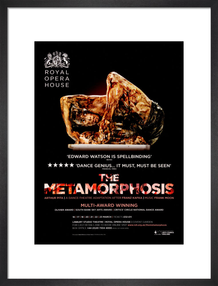 The Metamorphosis Print (2013)
