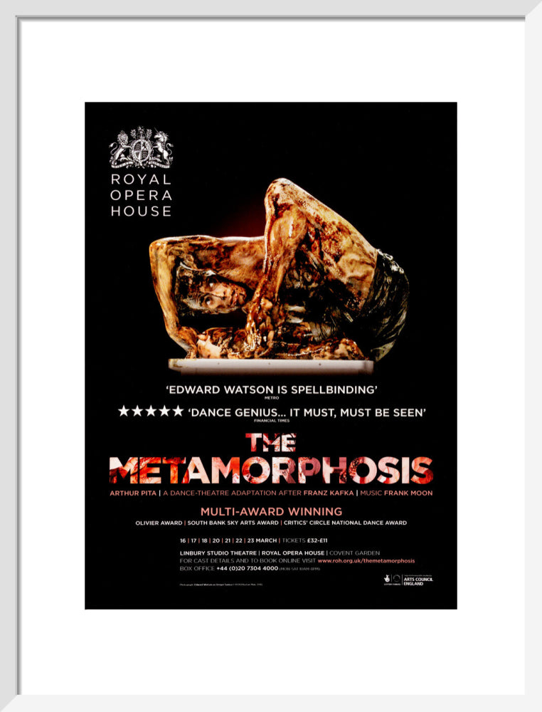 The Metamorphosis Print (2013)