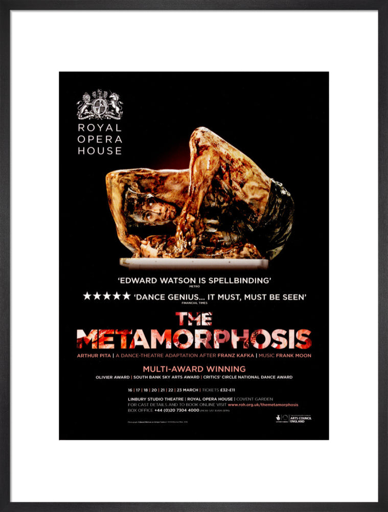 The Metamorphosis Print (2013)