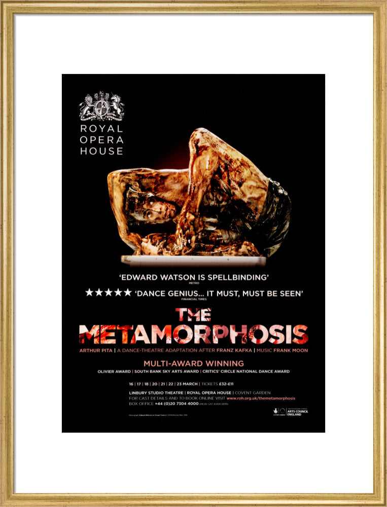 The Metamorphosis Print (2013)