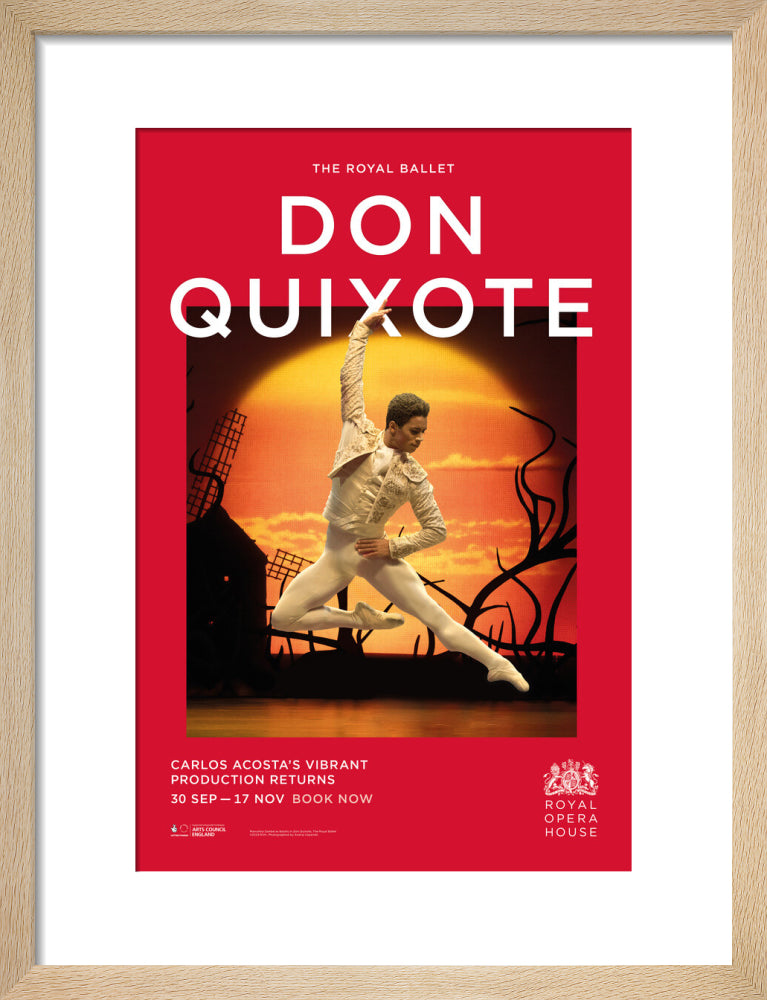 その他 Don Quixote Ballet [DVD] [Import] 6g7v4d0 Don Quixote Ballet [DVD] [Import] 6g7v4d0