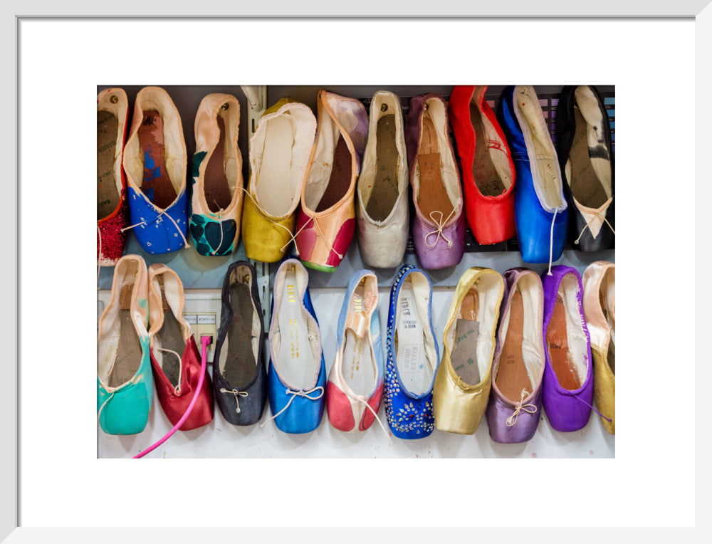 Dyed Pointe Shoes Print