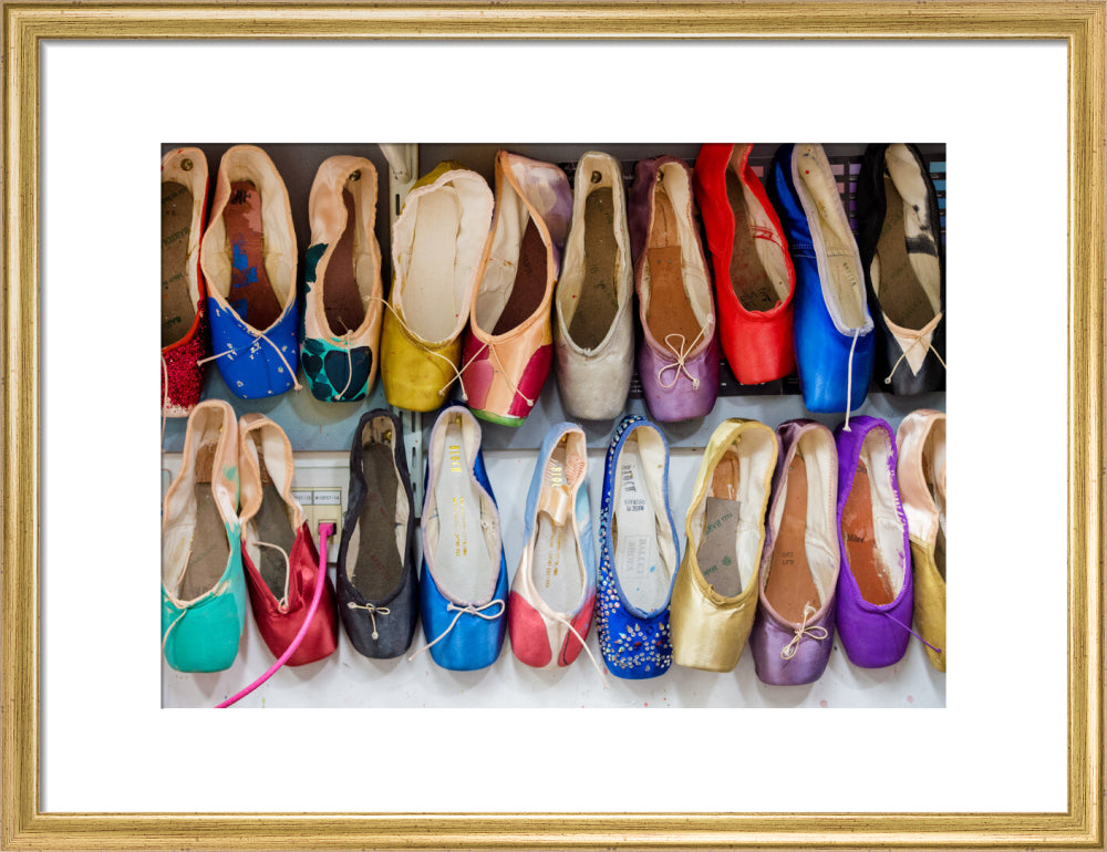 Dyed Pointe Shoes Print