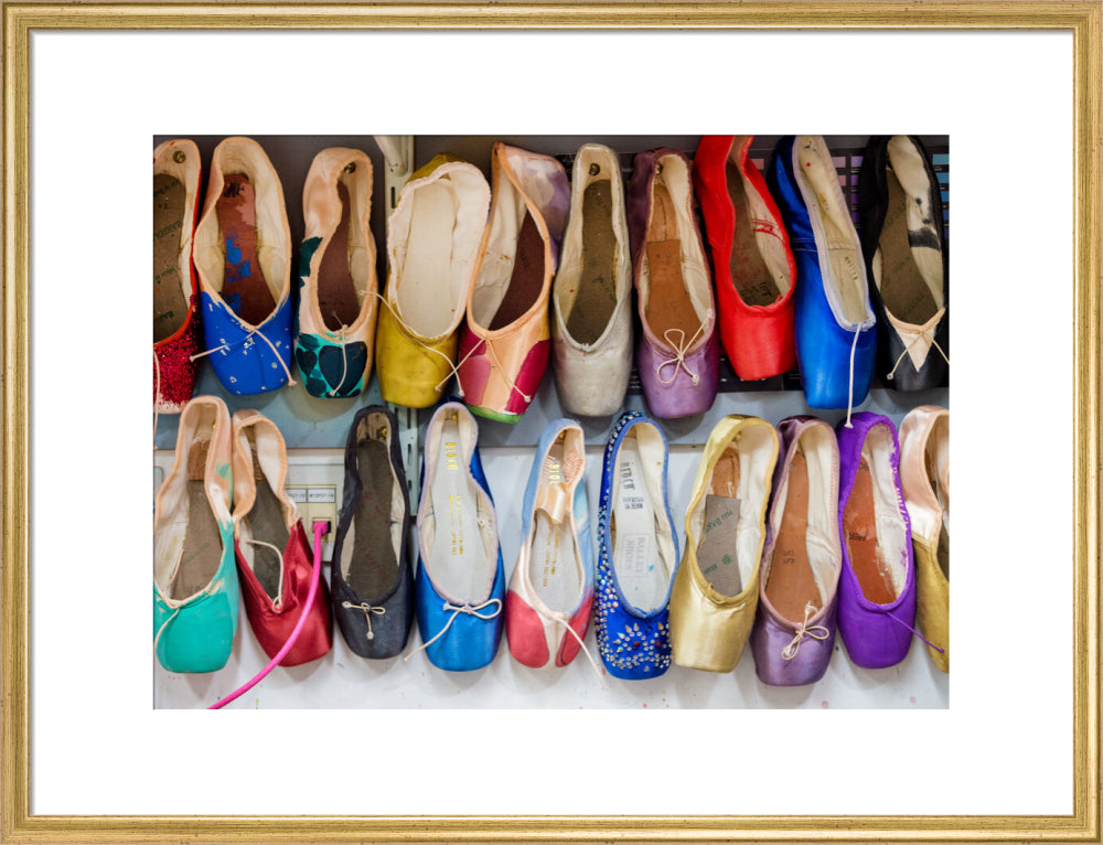 Dyed Pointe Shoes Print