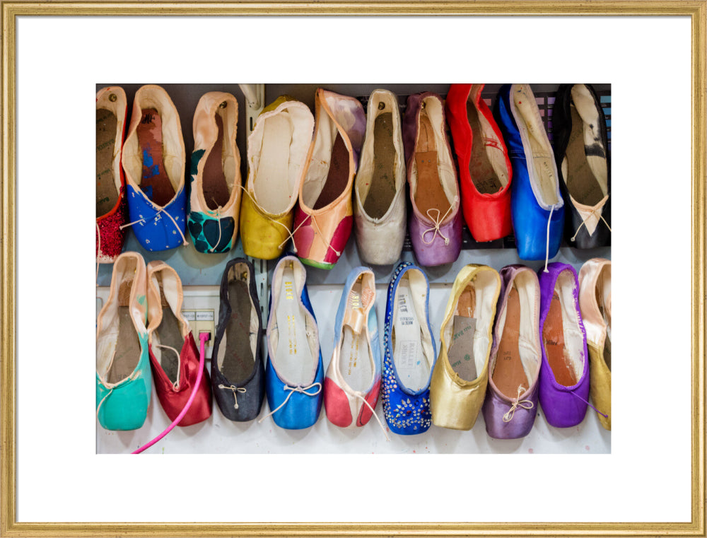 Dyed Pointe Shoes Print