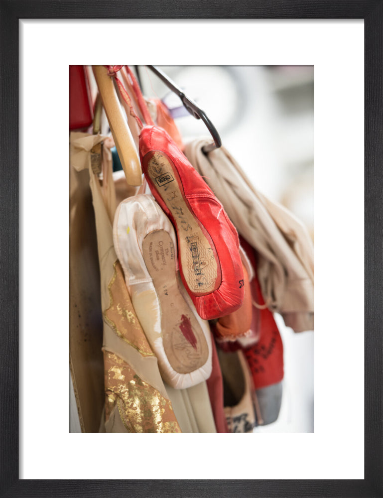 Hanging Pointe Shoes Print