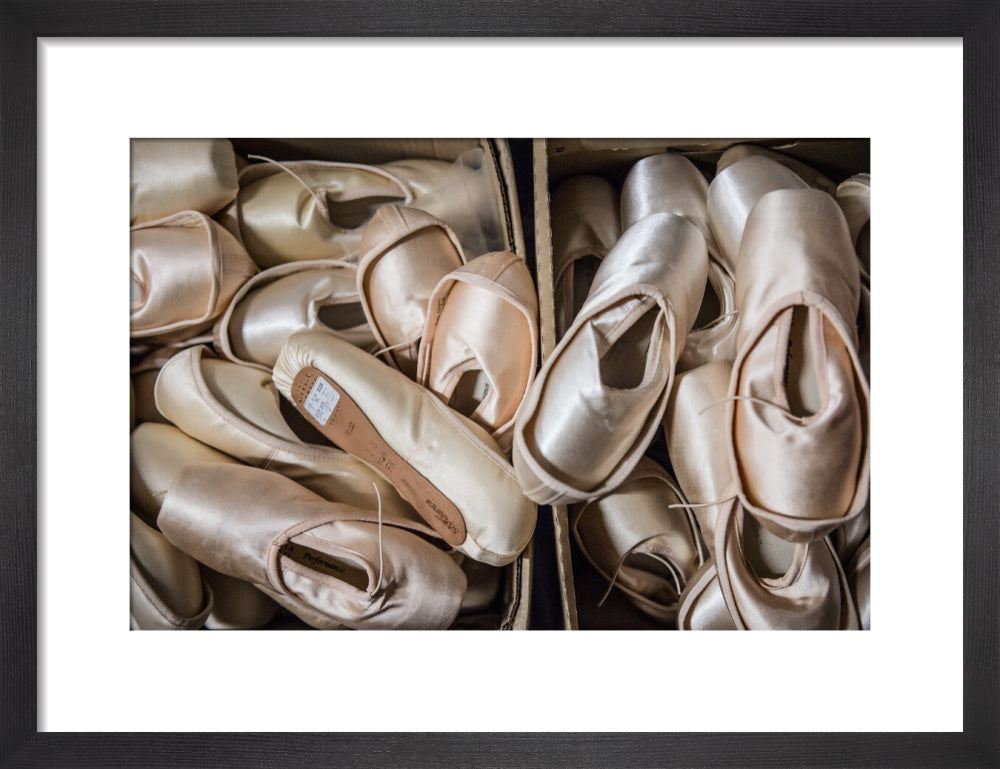 Pointe Shoes Print