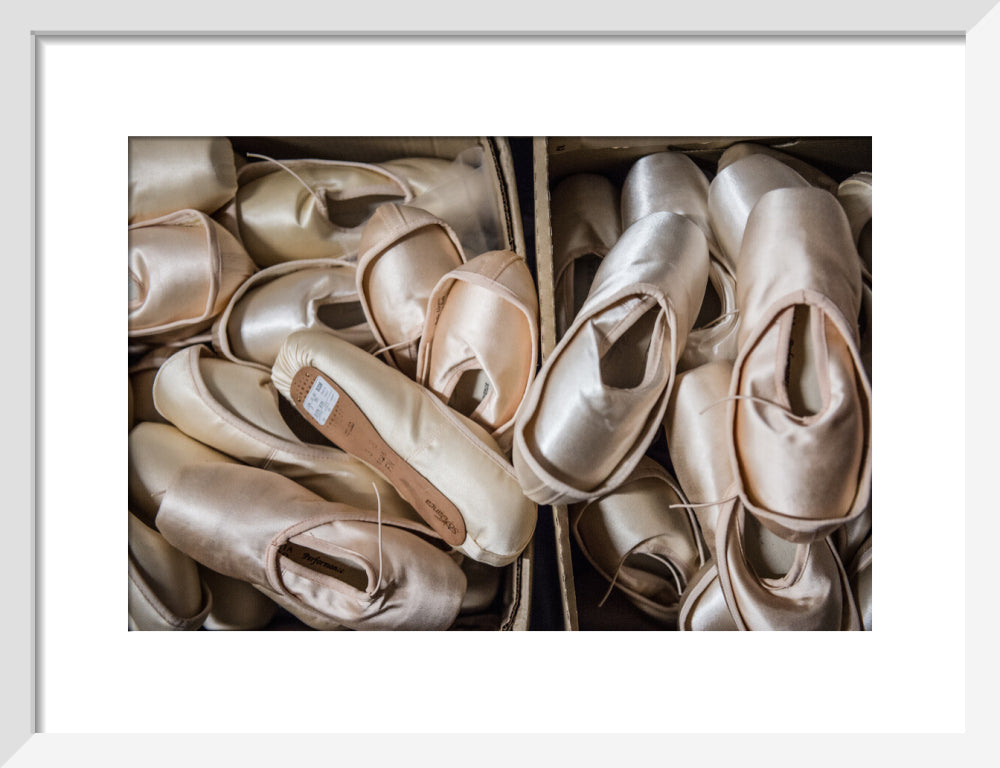 Pointe Shoes Print