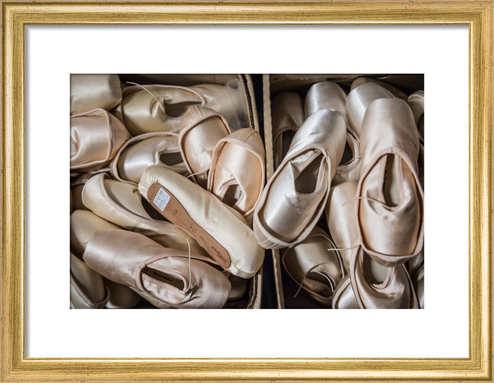 Pointe Shoes Print