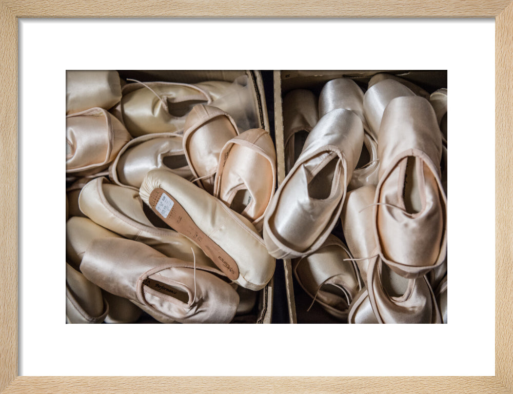 Pointe Shoes Print