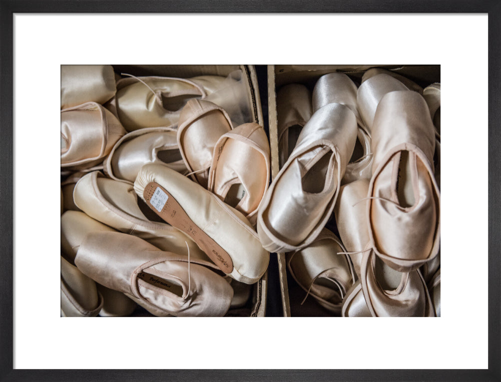 Pointe Shoes Print