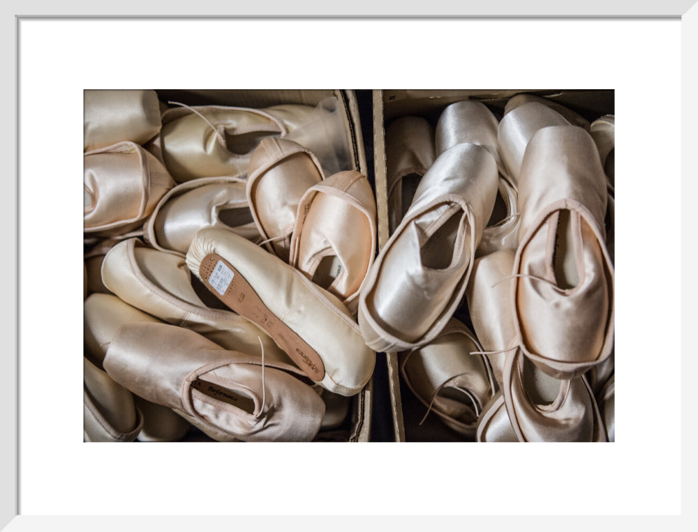 Pointe Shoes Print