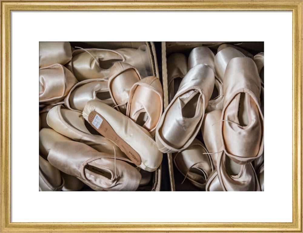 Pointe Shoes Print