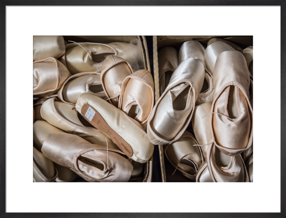 Pointe Shoes Print