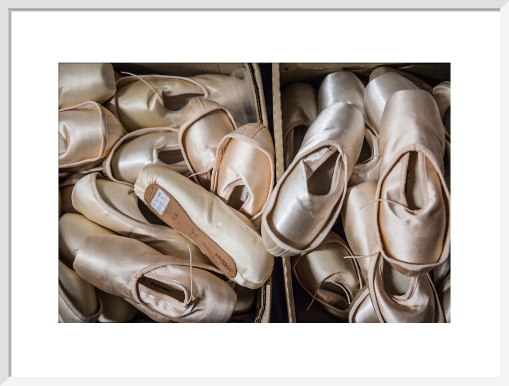 Pointe Shoes Print