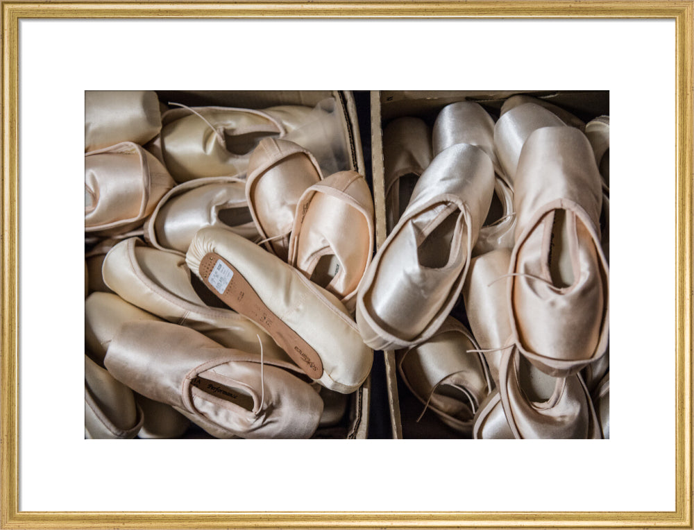 Pointe Shoes Print