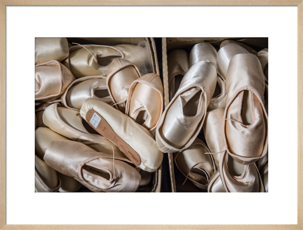 Pointe Shoes Print