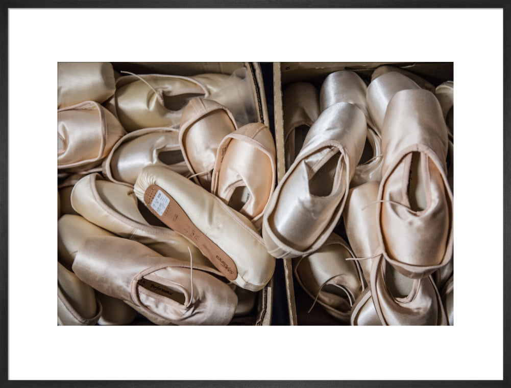 Pointe Shoes Print