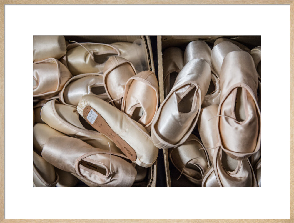 Pointe Shoes Print
