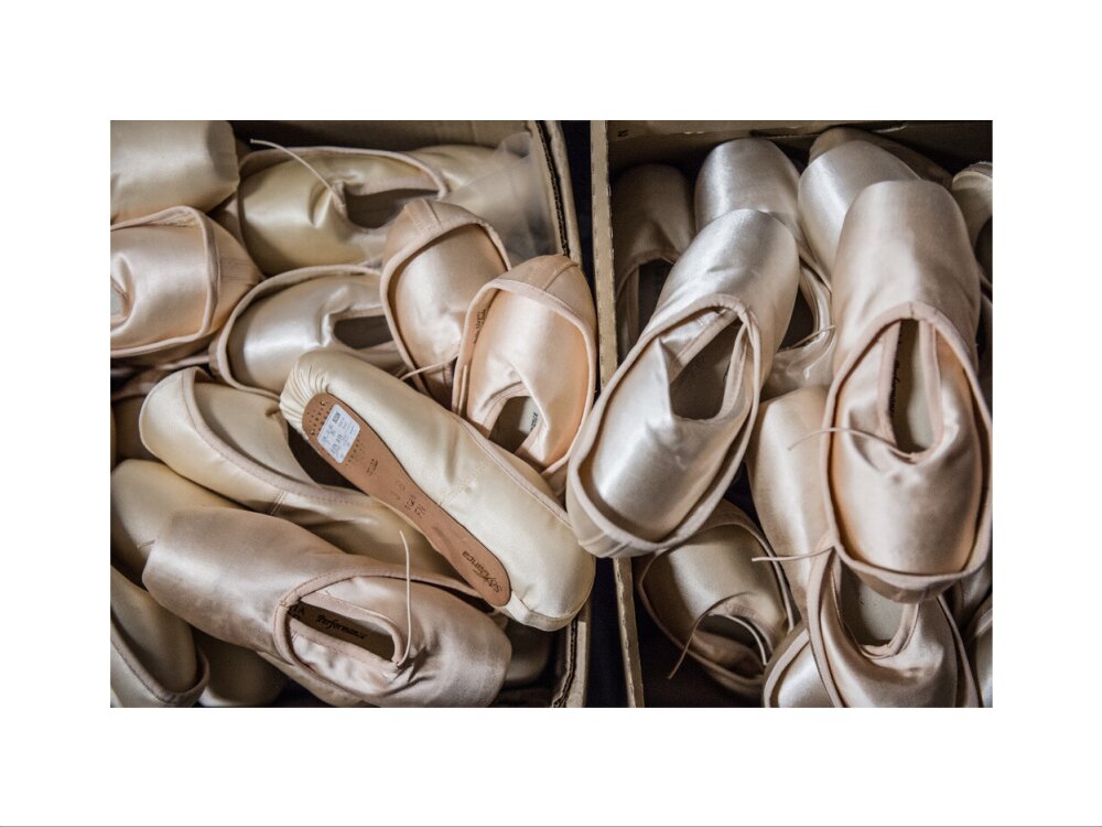 Pointe Shoes Print