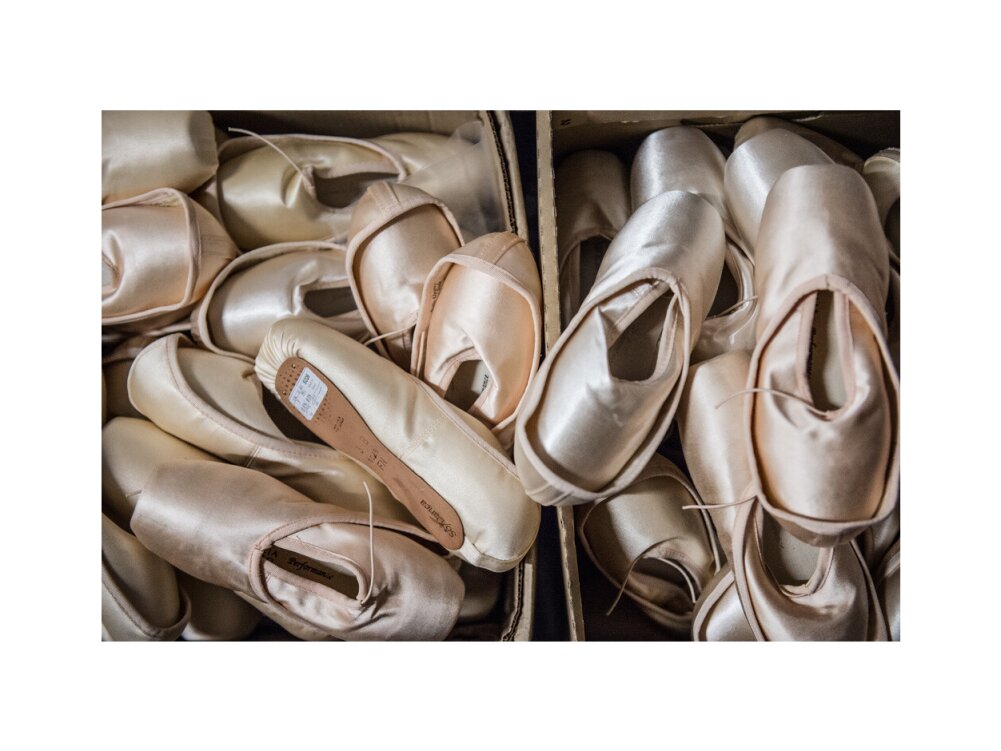 Pointe Shoes Print