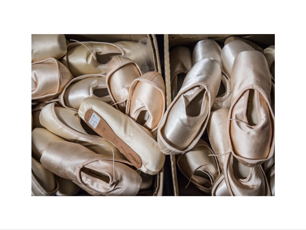 Pointe Shoes Print