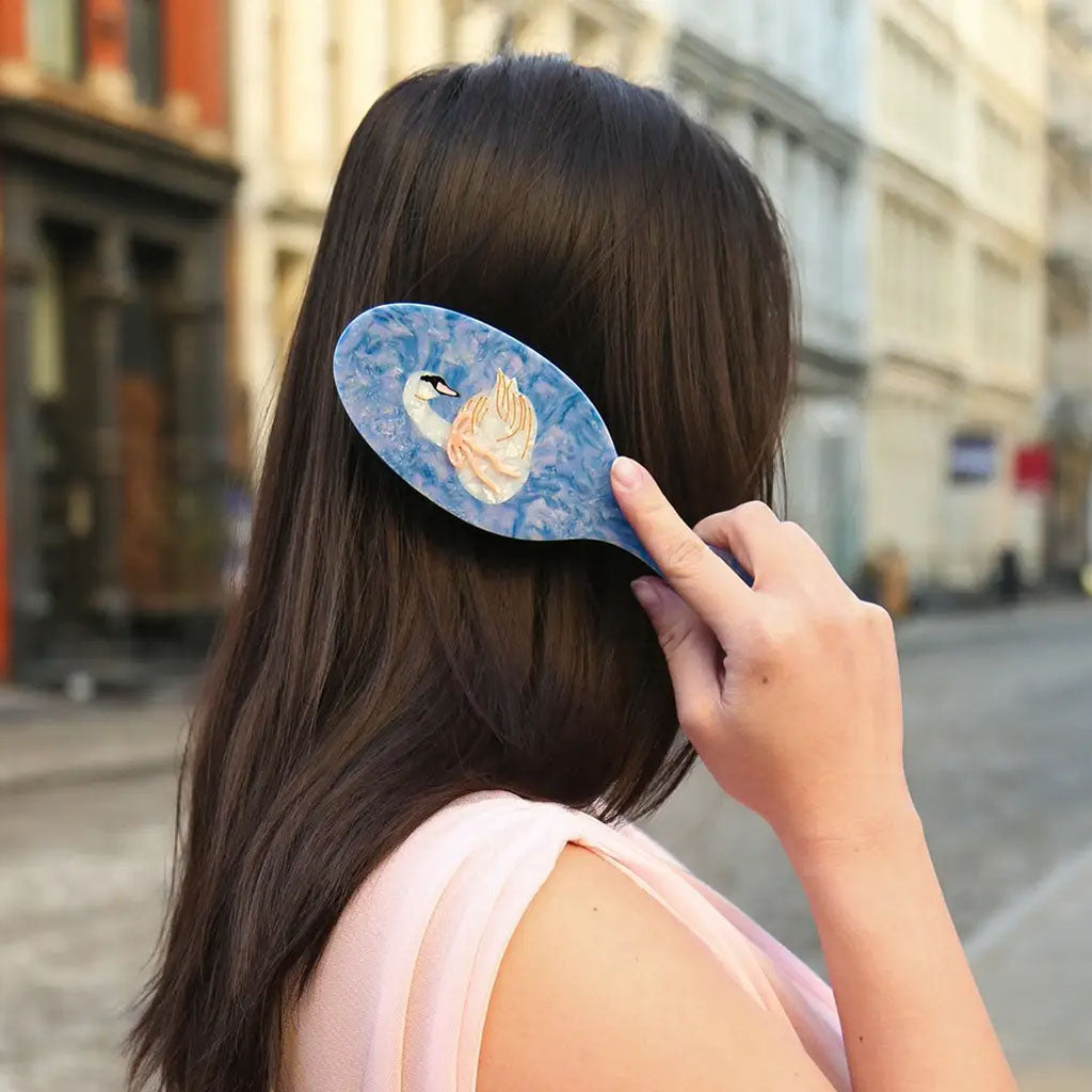 A woman with long dark brown hair is shown from behind, holding a blue oval hairbrush with a swan illustration against her hair, set against a blurred city street background.