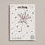Star-shaped iron on patch with a smiling face on a white card with star patterns, branded 'Petra Boase'.