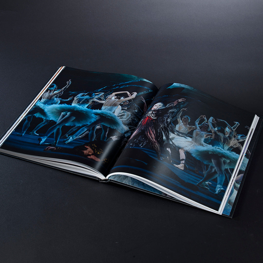 Pageview of Swan Lake: Reimagining a Classic Book