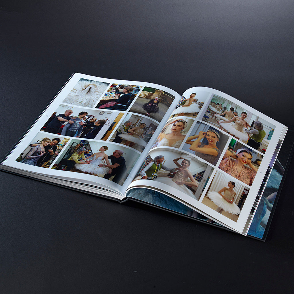 Pageview of Swan Lake: Reimagining a Classic Book