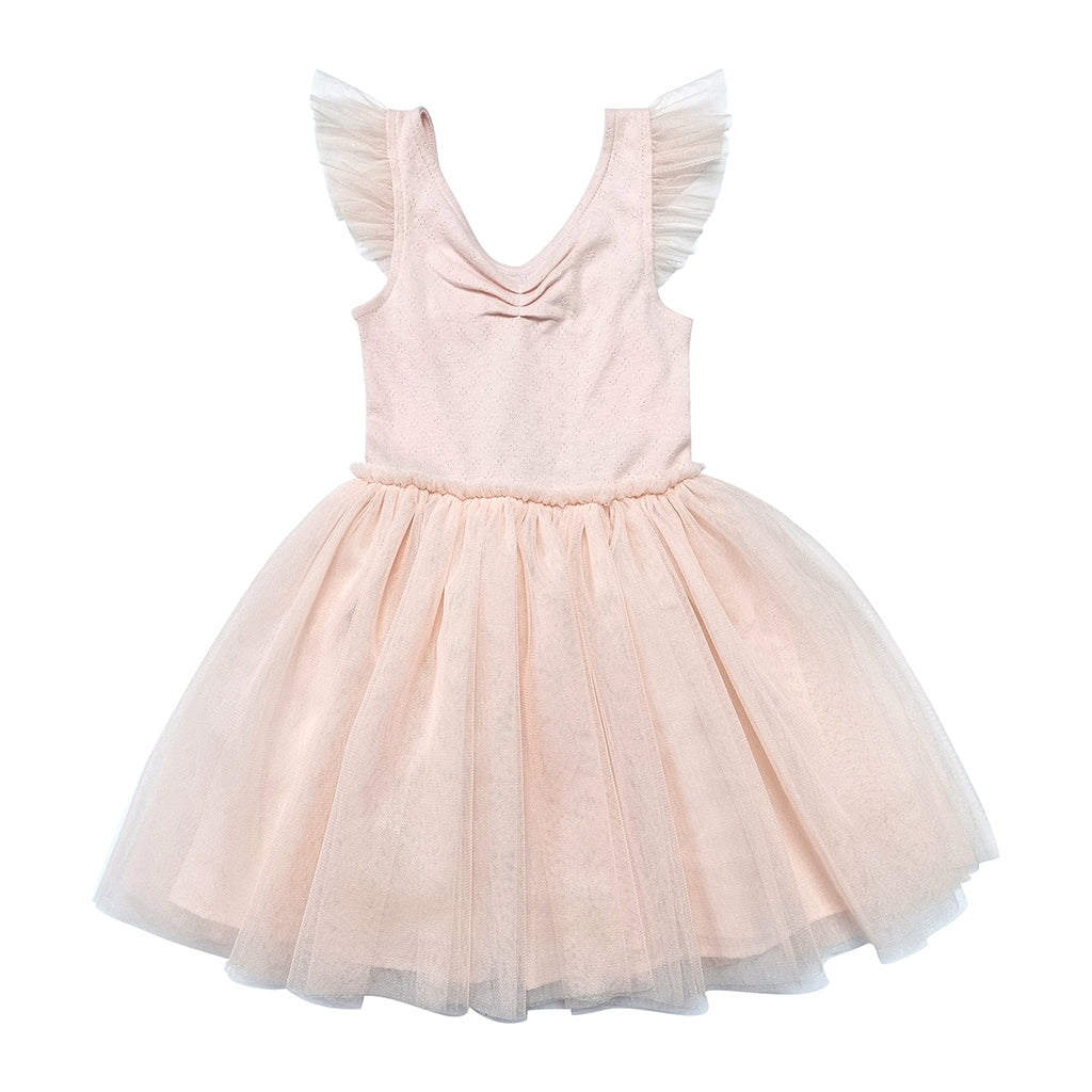 Childrens Pink Albetta Tutu Dress