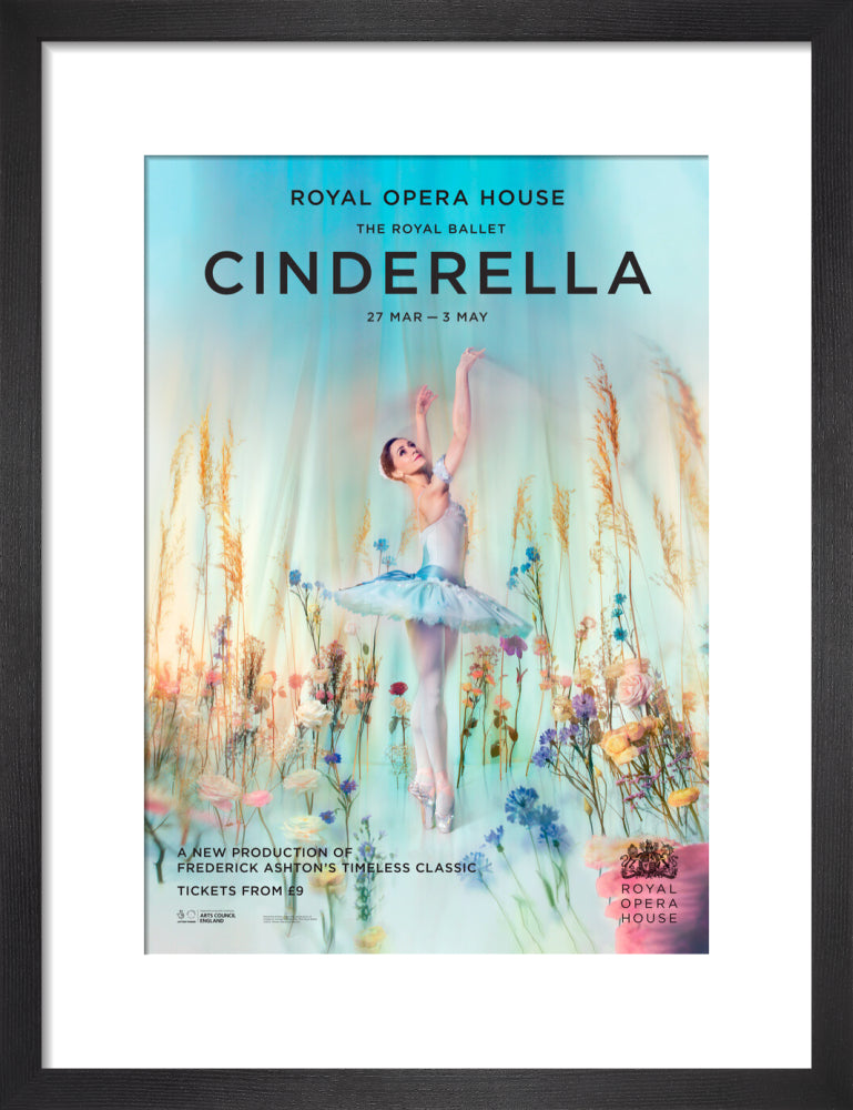 Cinderella Print (2023)